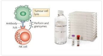ADCC細胞技術在單抗研發與細胞治療中的經典應用