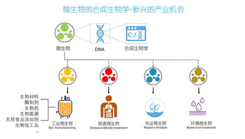 細(xì)胞工廠 PHA從實(shí)驗(yàn)室到商業(yè)化的成長之路