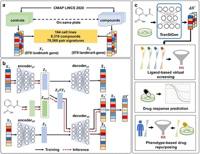 細(xì)胞技術(shù)研發(fā)與應(yīng)用 前沿突破與未來展望